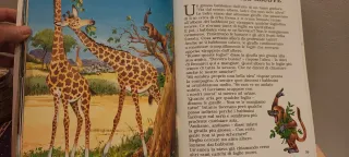 Piccoli racconti di animali nel mondo