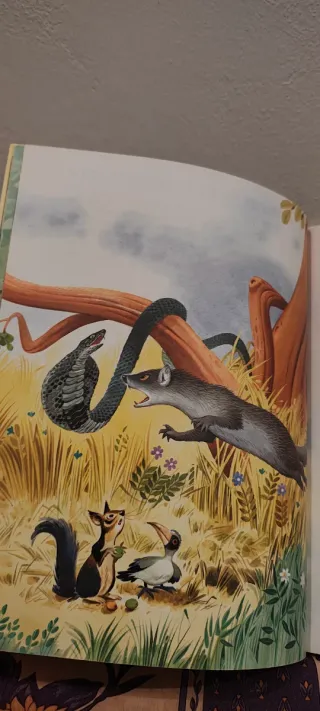 Piccoli racconti di animali nel mondo