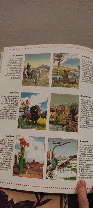 Piccoli racconti di animali nel mondo