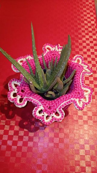 Vaso uncinetto bicolore