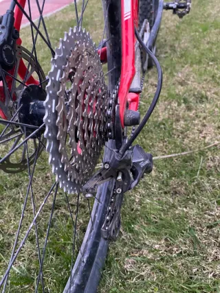 Bici BTT Specialized StumpJumper 29