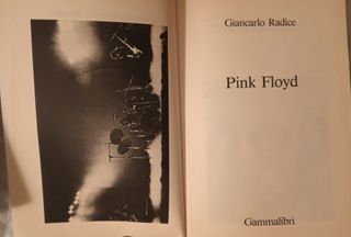 Pink Floyd la storia dalle origini