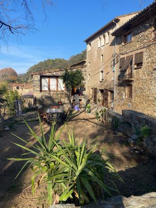 Masajista profesional