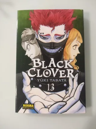 Black Clover 13