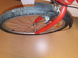 Bicicleta de Montaña Roja