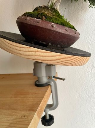 Plataforma giratoria para bonsái