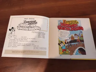 Vinile 45 Giri Disney 1979