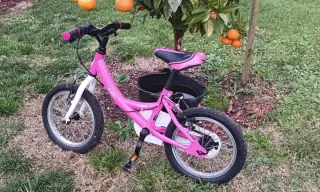 Bicicleta Infantil B Pro 14