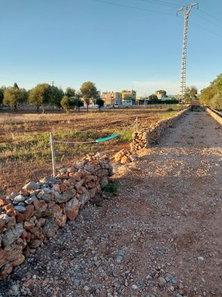 terreno con olivos cerca de pueblo