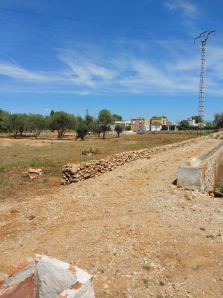 terreno con olivos cerca de pueblo