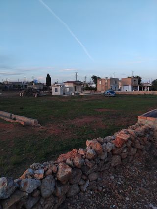 terreno con olivos cerca de pueblo