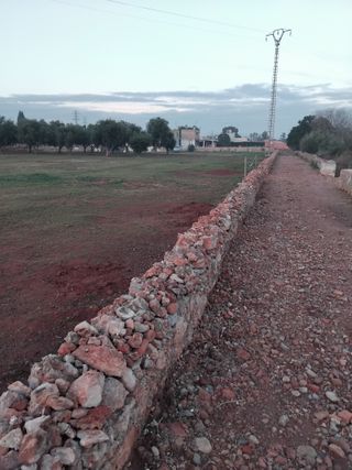 terreno con olivos cerca de pueblo