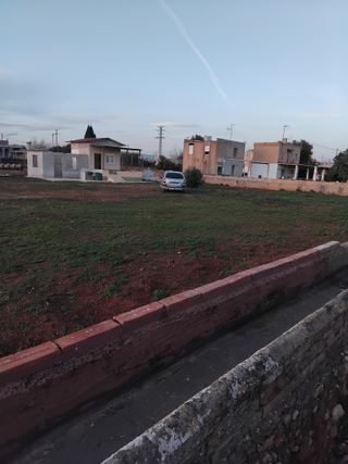 terreno con olivos cerca de pueblo