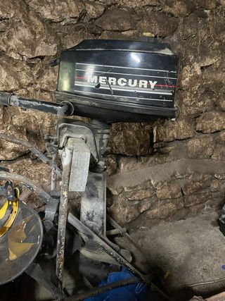 Motor fueraborda Mercury