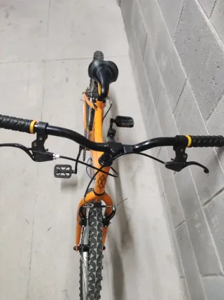 Bicicleta Infantil Rueda 20 pulgadas Naranja