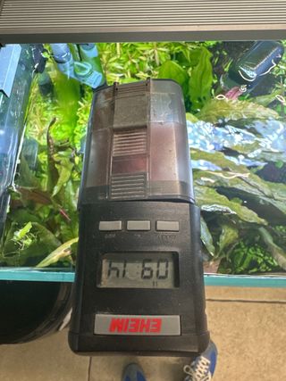 Acuario completo con plantas y habitantes.