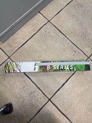 Acuario completo con plantas y habitantes.