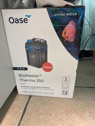 Acuario completo con plantas y habitantes.