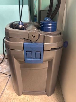 Acuario completo con plantas y habitantes.