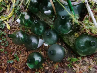 Damajuanas de vidrio verdes 10€sueltas