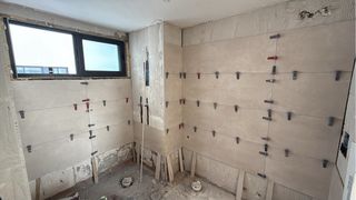 Servicio de baño y casa