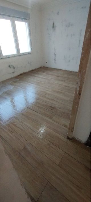 Servicio de baño y casa