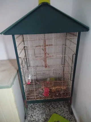 Jaula grande para pájaros