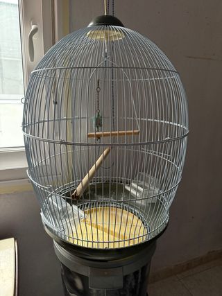 Jaula para Agaporni o Ninfa