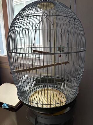 Jaula para Agaporni o Ninfa