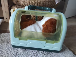 Perro de juguete con transportín y accesorios