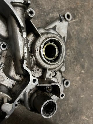 Carter izquierdo AM6 virgen