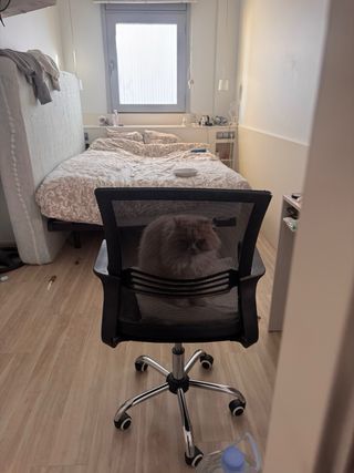 Silla de oficina ergonómica negra