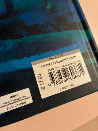 Libro nuovo Cenerentola Fiabe intagliate