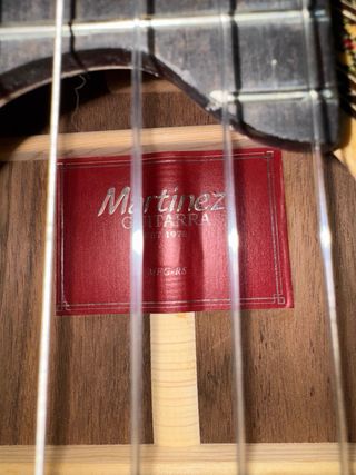 Guitarra Martinez MFG-RS