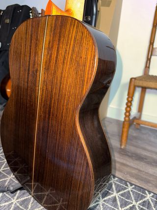 Guitarra Martinez MFG-RS