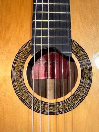 Guitarra Martinez MFG-RS