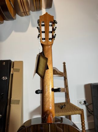 Guitarra Martinez MFG-RS