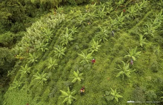 Lavazza Calendario 2019 Good to Earth