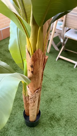 Planta Artificial Platanera 180cm