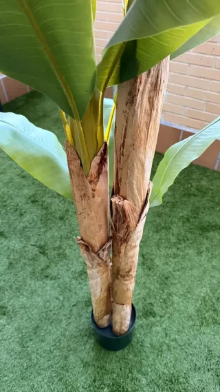 Planta Artificial Platanera 180cm