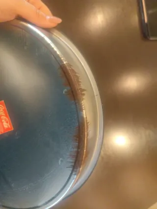 Vassoio Coca Cola Drive-Thru Diner