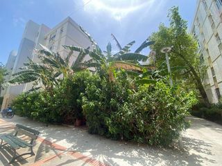 Piso en venta en La Paz - Segunda Aguada - Loreto en Cádiz