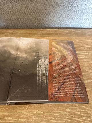 Harry Potter y la piedra filosofal (Harry Potte...