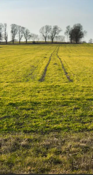 Terreno rústico campo