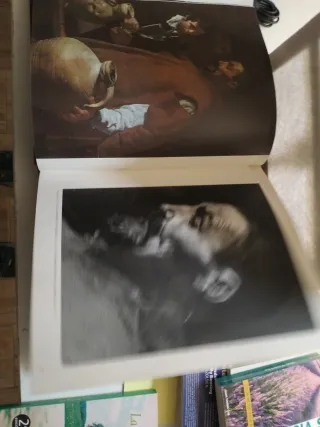 Velázquez, 1599-1669 historia de su vida, catál...