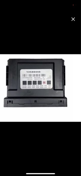 Bcm Chevrolet 13588446