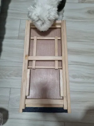 Rampa para perros ajustable