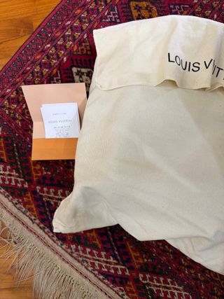 Zaino Louis Vuitton Grigio con Sacca