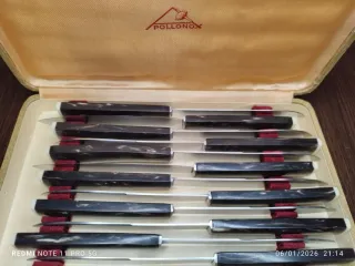 Estuche 12 Cuchillos Vintage VAUZI Nacarado