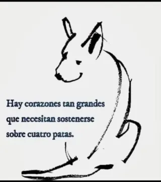 Me ofrezco para cuidar personas mayores , niños,